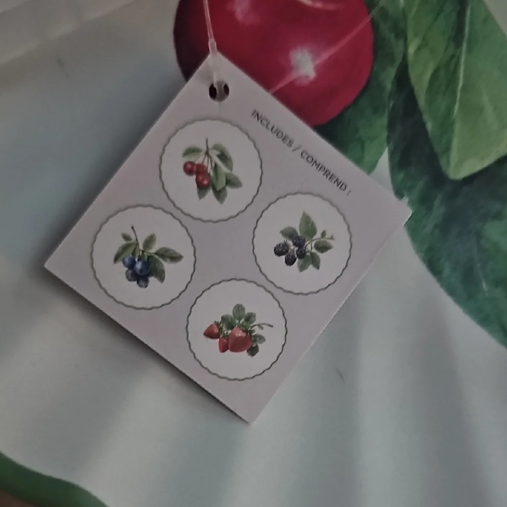 Rachel Ashwell Green and White Salad Plates. Brand New